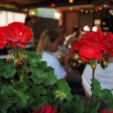 Petits jardins de Boujean 3 septembre 2016